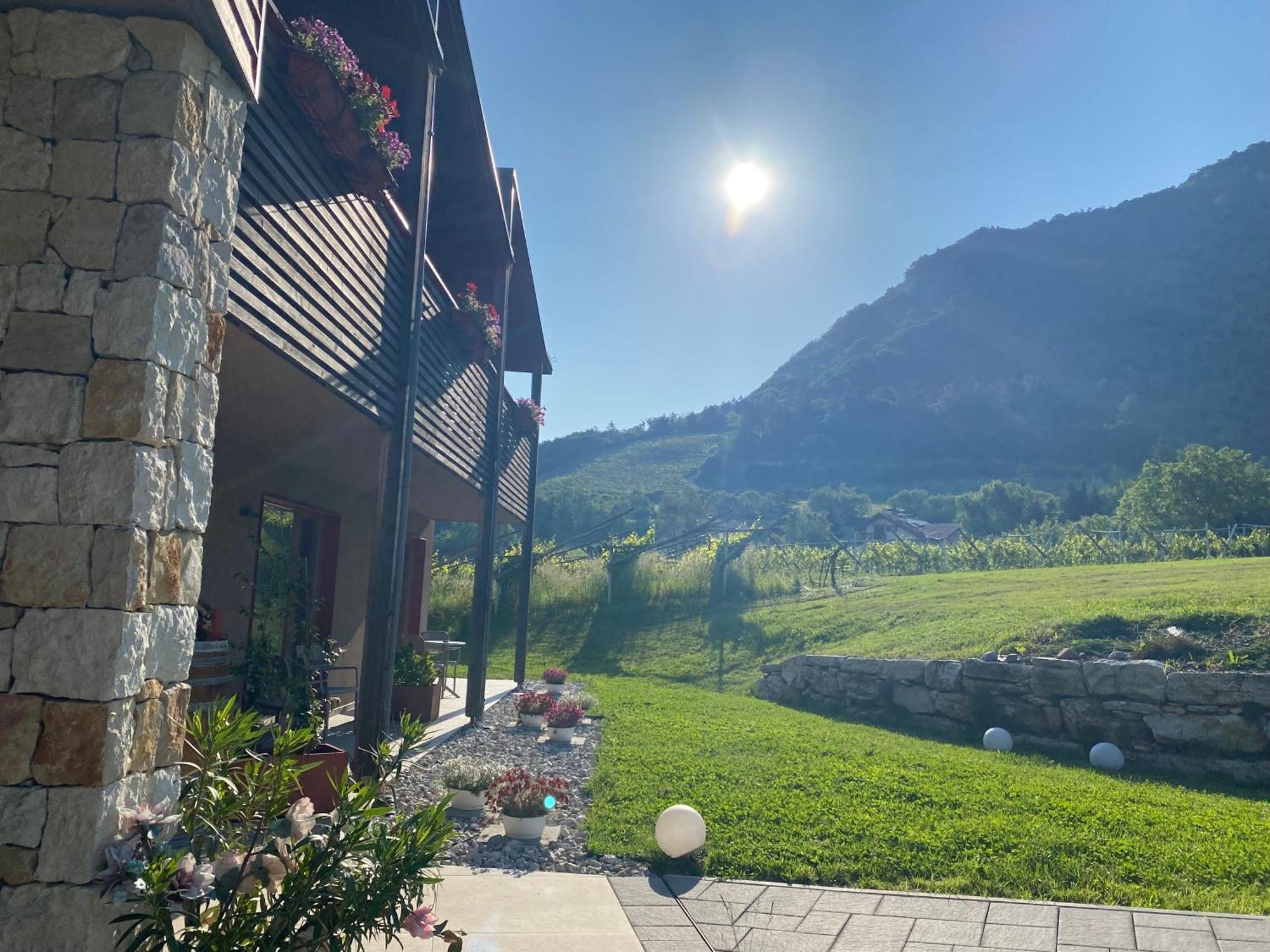 Agritur Verderame Τρέντο Εξωτερικό φωτογραφία